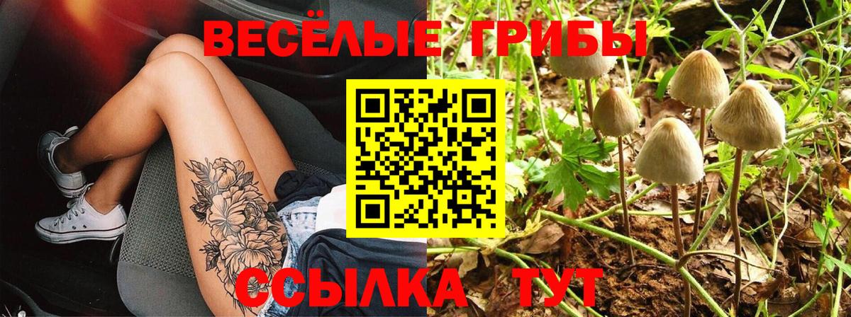 цены   Псилоцибиновые грибы MAGIC MUSHROOMS  Глазов  Вход с VPN  Галлюциногенные грибы Psilocybine cubensis 